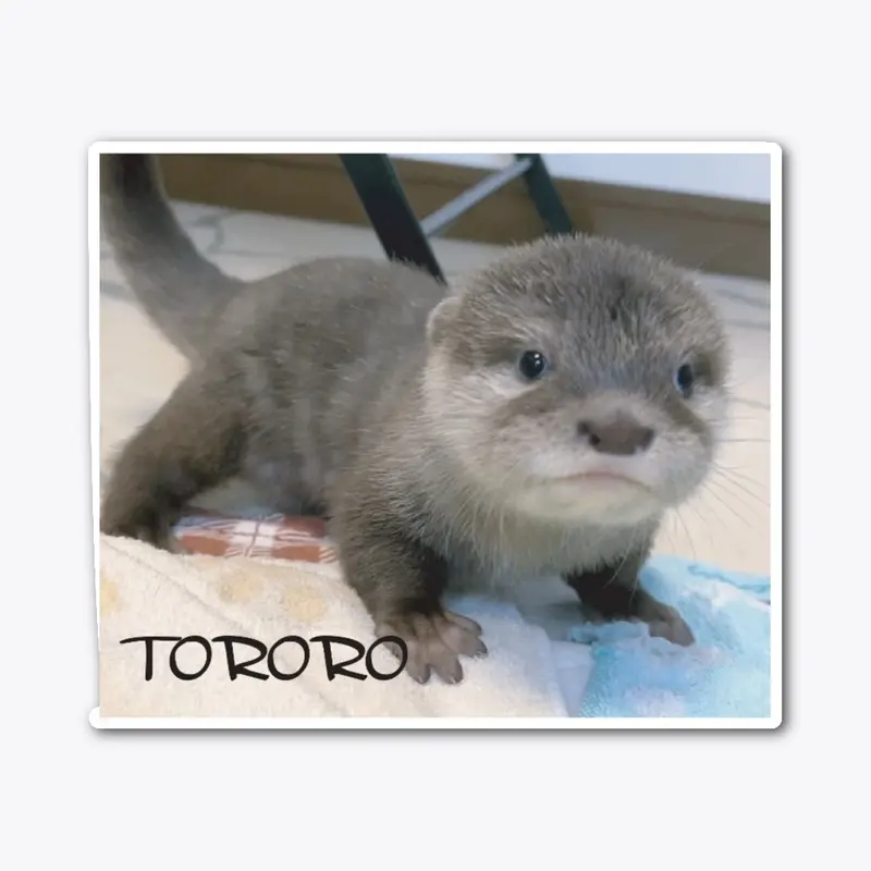 Baby Otter Tororo